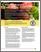 [thumbnail of Waterloo region's Food system a snapshot.pdf]