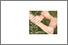 [thumbnail of politique_environnementale.pdf]