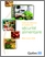 [thumbnail of Cadre de référence en matière de sécurité alimentaire.pdf]