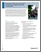 [thumbnail of Programme d'aide gouvernementale au transport alternatif.pdf]